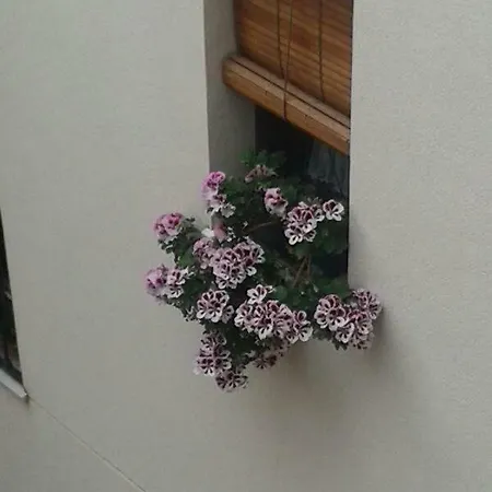 La Ribera Apartment *